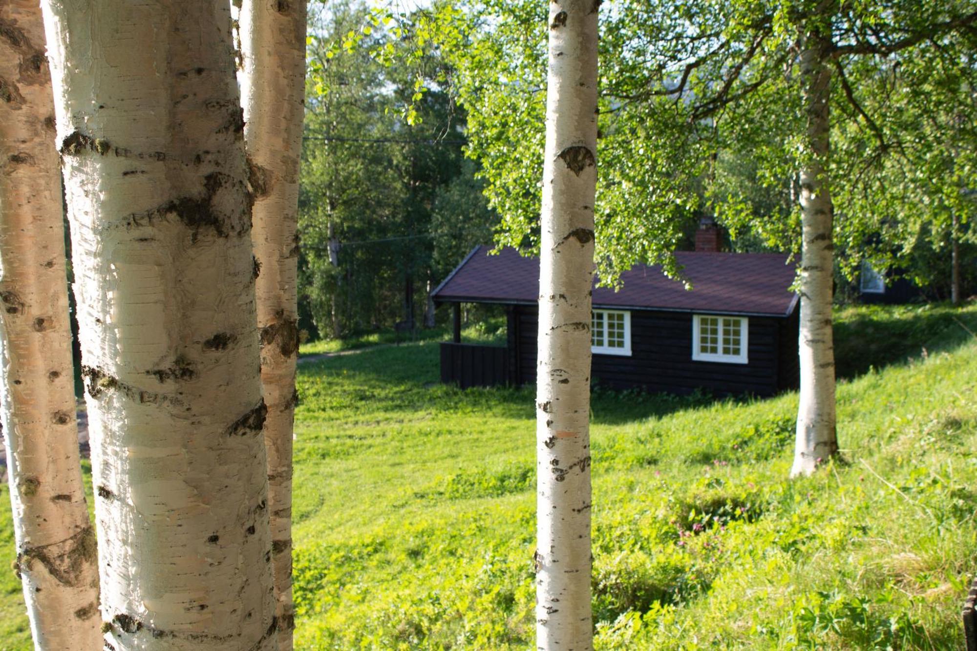 Ljoshaugen Camping Dombas Exterior photo